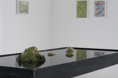 © Julia Schmölzer, Kunstverein Wasserburg am Bodensee 2017