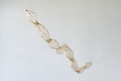 © Schmoelzer, Samenkette